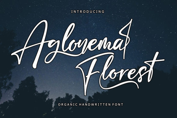 Enhance Your Brand with Aglonema Florest Font