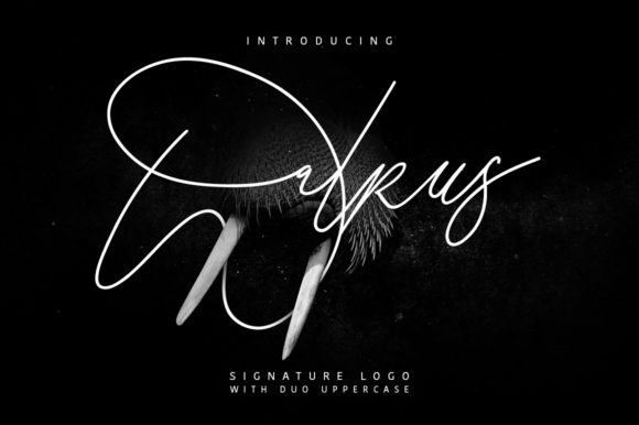 Walrus: A Script Font for Elegant Web Design